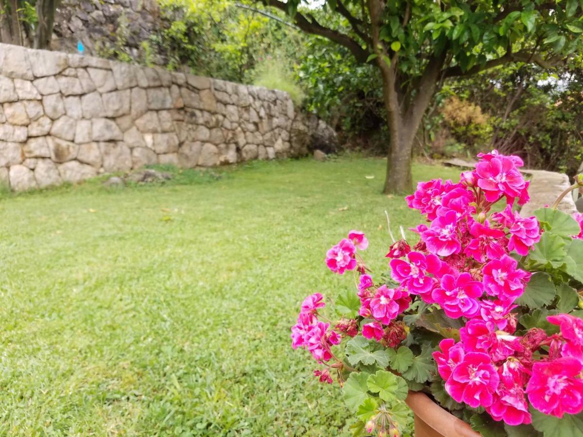Marivo Guest House مولونات المظهر الخارجي الصورة